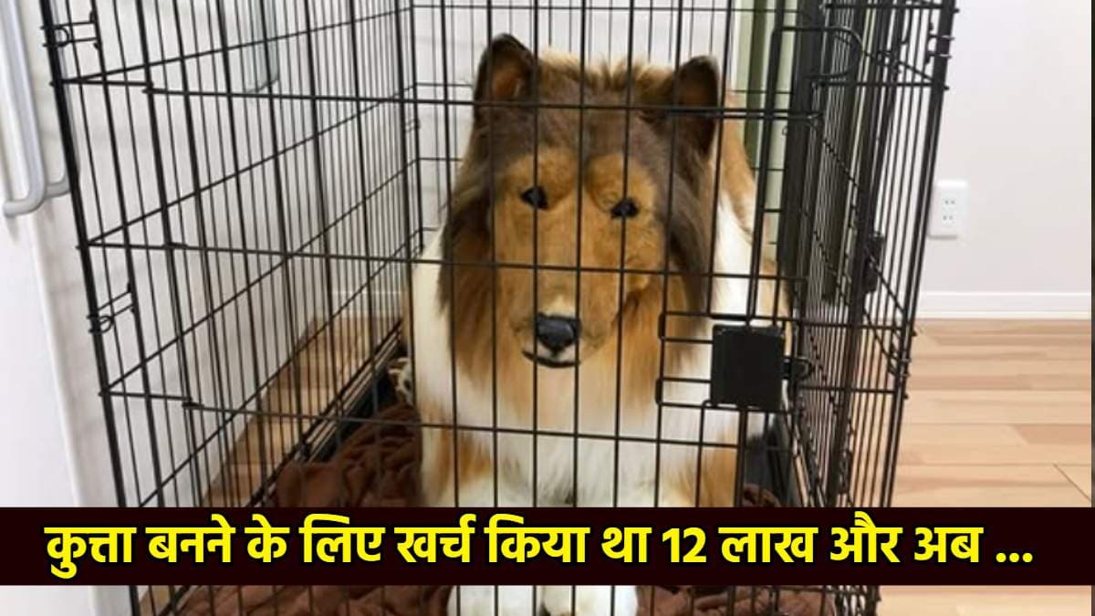 डॉग बनने के लिए खर्चे थे 12 लाख, अब किराये पर दे रहा कॉस्ट्यूम, बुकिंग के लिए शर्त