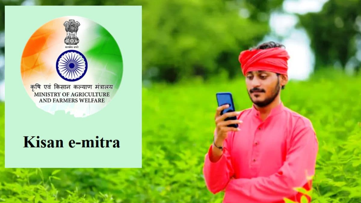 PM Kisan Nidhi Yojana: किस वजह से रुक सकती है 19वीं किस्त? पैसे न आएं तो क्या करें किसान