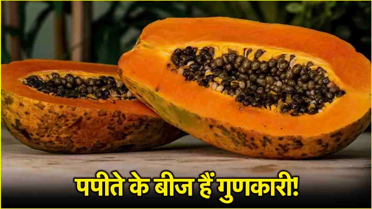 Papaya Seeds Benefits: इस गंभीर बीमारी में रामबाण हैं पपीते के बीज! जानें इसके फायदे