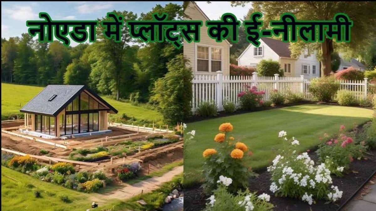 YEIDA Plot Scheme 2024: नोएडा वालों का आज खत्म होगा इंतजार! 2 बजे तक लगेगी प्लॉट्स की बोली
