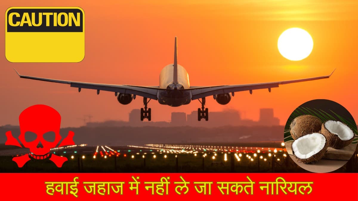 फ्लाइट में नारियल ले जाने पर रोक, एयरपोर्ट पर न करें ये गलती, जानें वजह