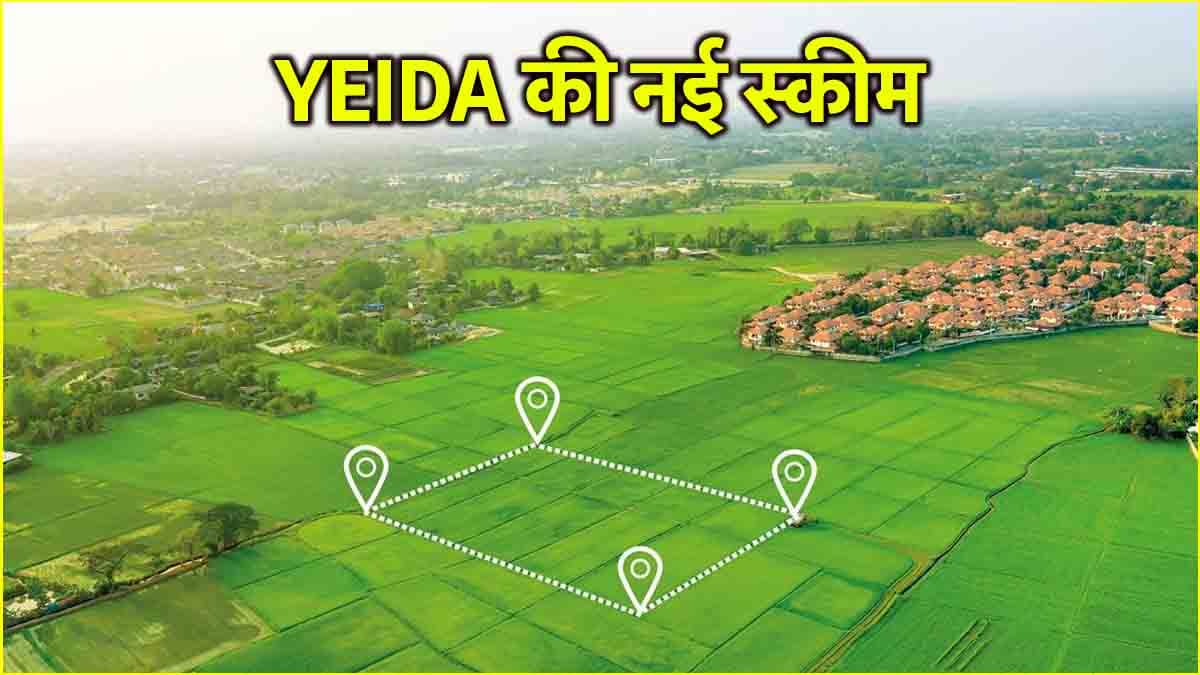 नोएडा के इस सेक्टर में निकलने वाले हैं प्लॉट! जानें क्या है YEIDA की योजना?