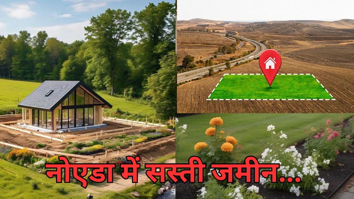 YEIDA नोएडा में दे रहा 7 लाख में प्लॉट! किन लोगों को मिलेगा इसका लाभ और क्या होनी चाहिए पात्रता?