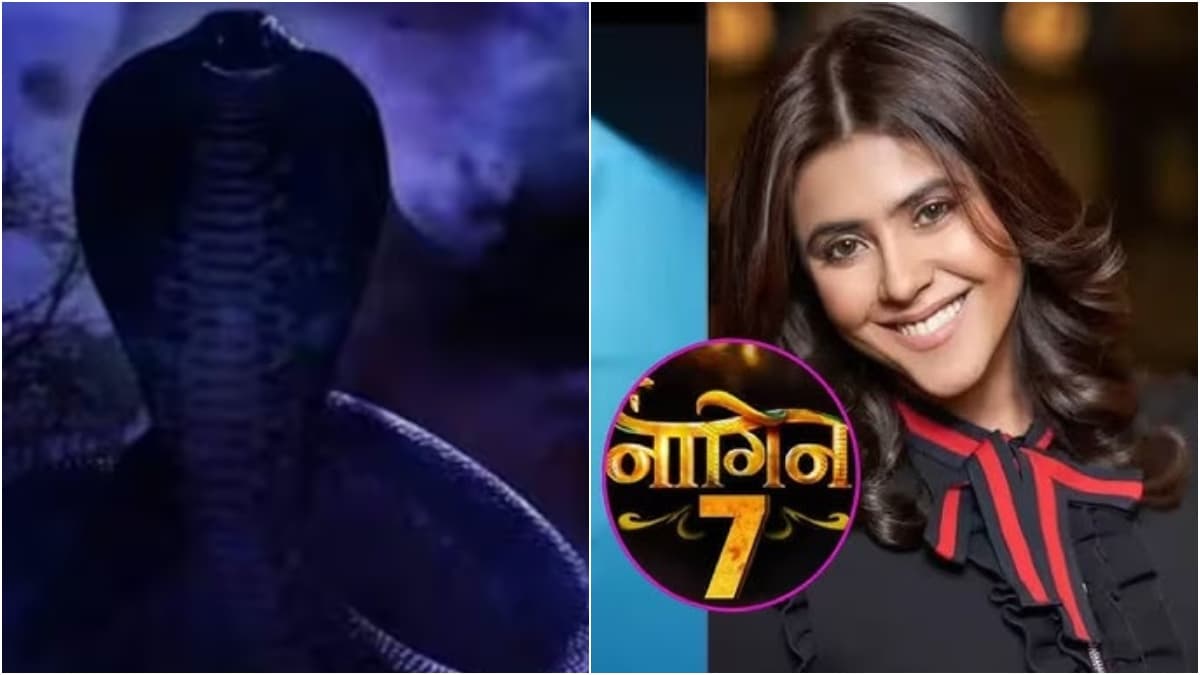 Ekta Kapoor के Naagin 7 में कौन होगा 'नागराज'? लिस्ट में 5 एक्टर्स के नाम शामिल