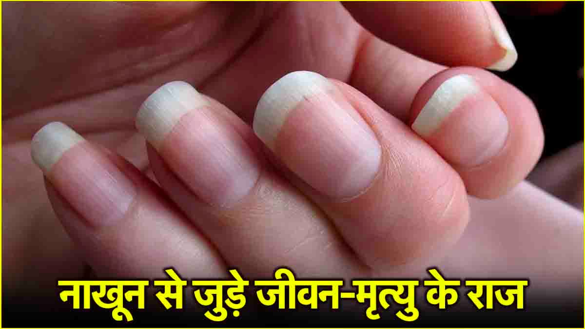 आपकी उम्र लंबी है या जल्द होगी मृत्यु! जानें क्या कहते हैं आपके नाखून, क्या कहती है डॉक्टर रिसर्च?