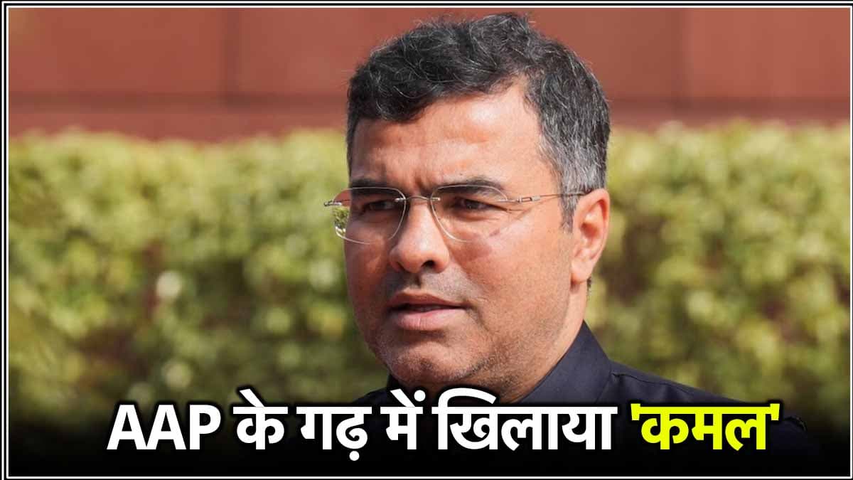 केजरीवाल को हराने वाले परवेश वर्मा कौन? नई दिल्ली में पूर्व CM को दी थी कांटे की टक्कर