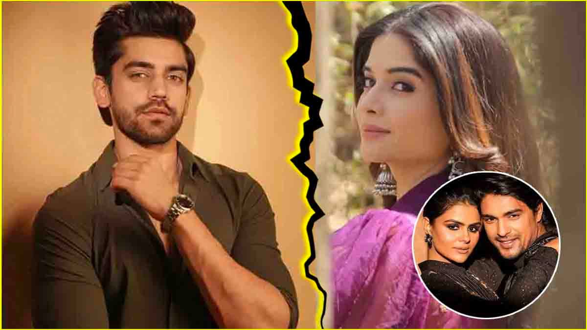 Video: अविनाश मिश्रा-भाविका शर्मा से पहले हुए 3 ब्रेकअप! TV सेलेब्स को किसकी लगी नजर?