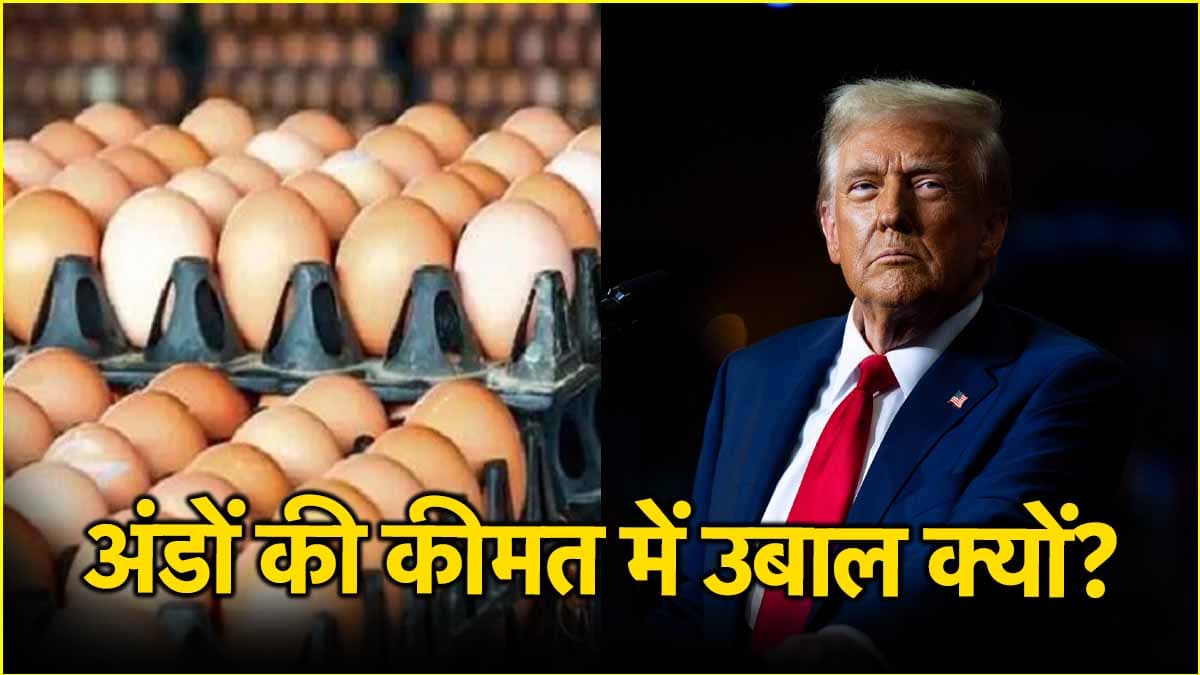 EGG