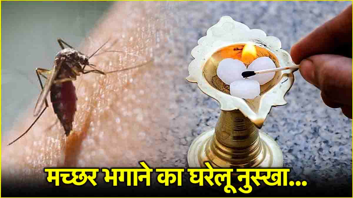 गर्मी में बढ़ते मच्छर भगाने का रामबाण नुस्खा, जानें पूनम देवनानी की होम रेमेडीज
