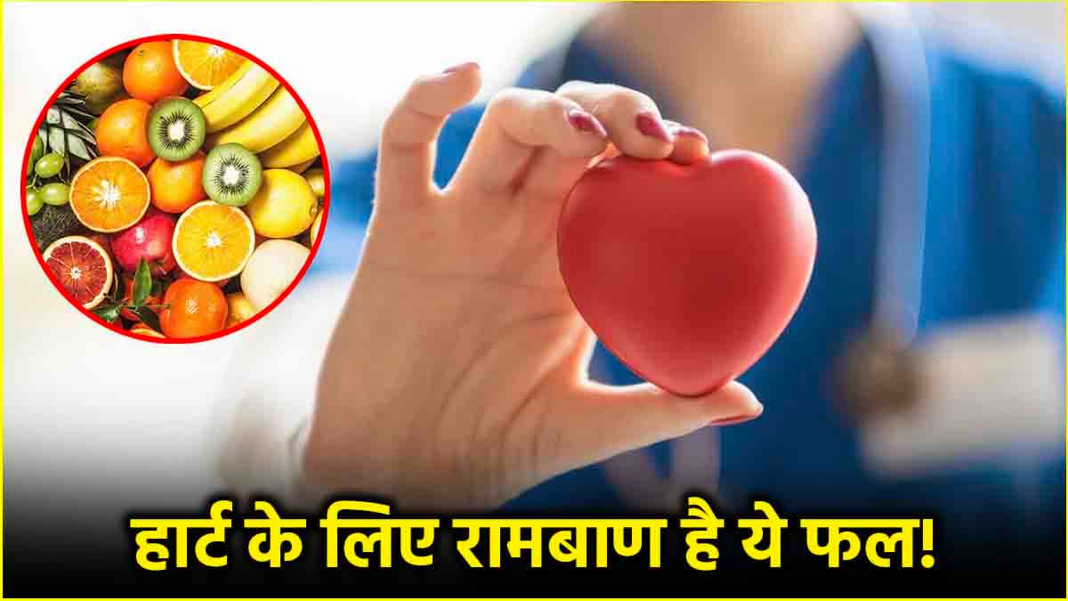 Health Tips: कोलेस्ट्रॉल के लेवल को कंट्रोल करते हैं ये 3 फल! जानें क्या कहती है रिसर्च  