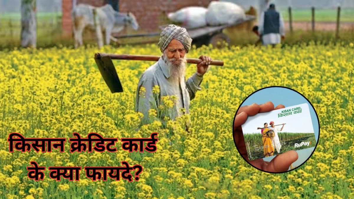 Kisan Credit Card का लाभ कैसे उठाएं लोग? जानें कैसे करें अप्लाई?