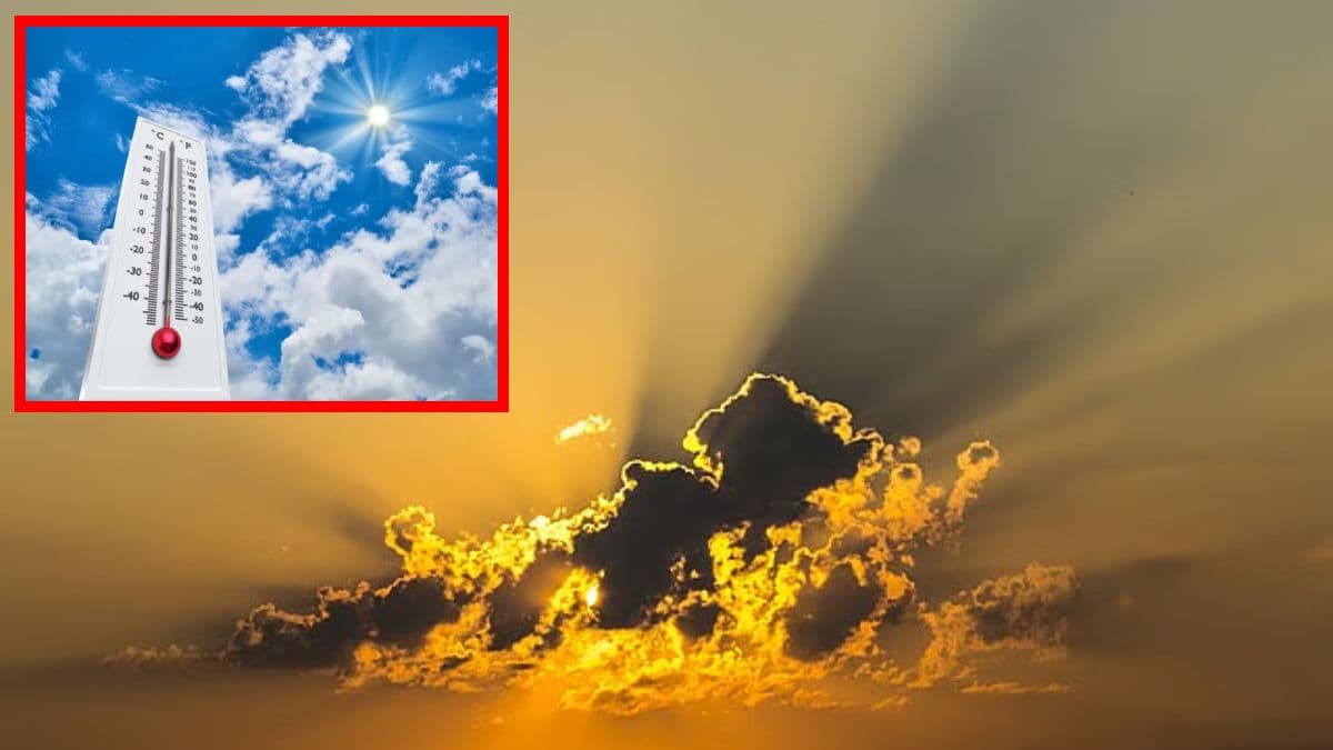 मध्य प्रदेश में होली पर 6 जिलों में बदलेगा मौसम, गिर सकता है पारा, जानें IMD का अपडेट