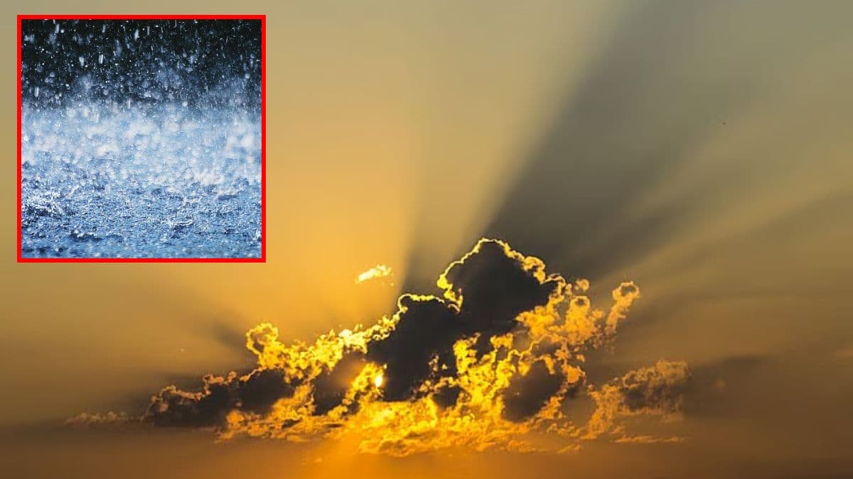 मध्य प्रदेश में फिर करवट लेगा मौसम, 24 घंटे में इन 7 शहरों में बारिश का अलर्ट