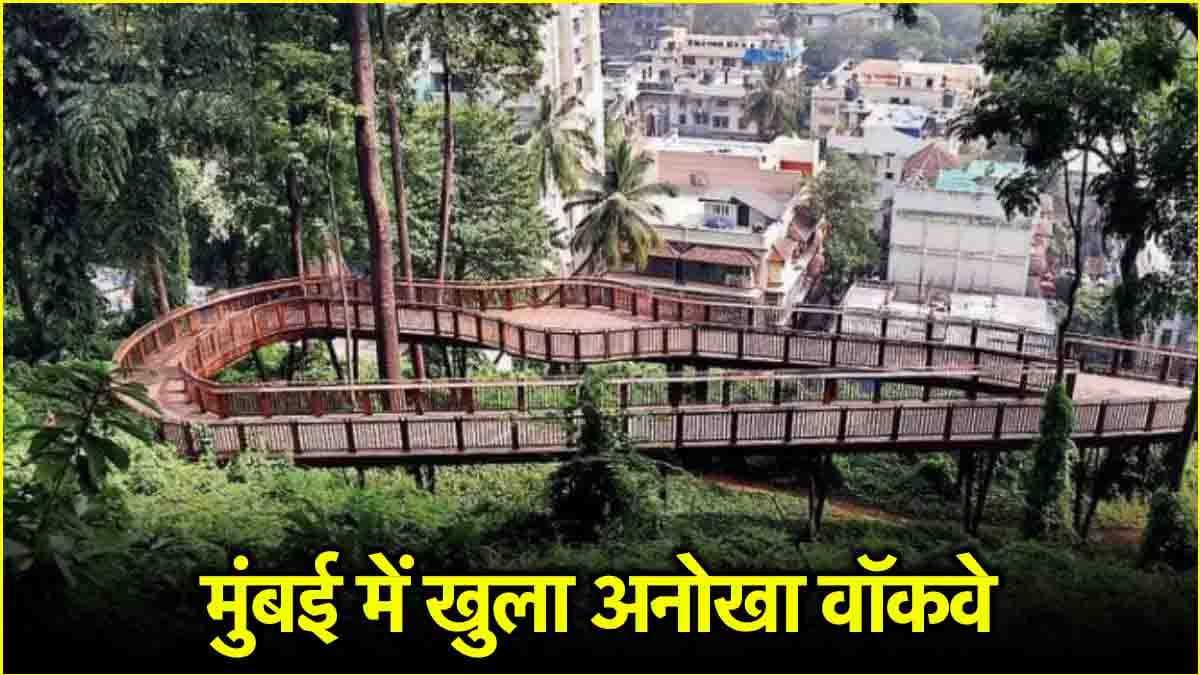 मुंबई के मालाबार हिल में खुला पहला एलिवेटेड नेचर ट्रेल, अब पेड़ों की चोटियों के बीच लें सैर का मजा