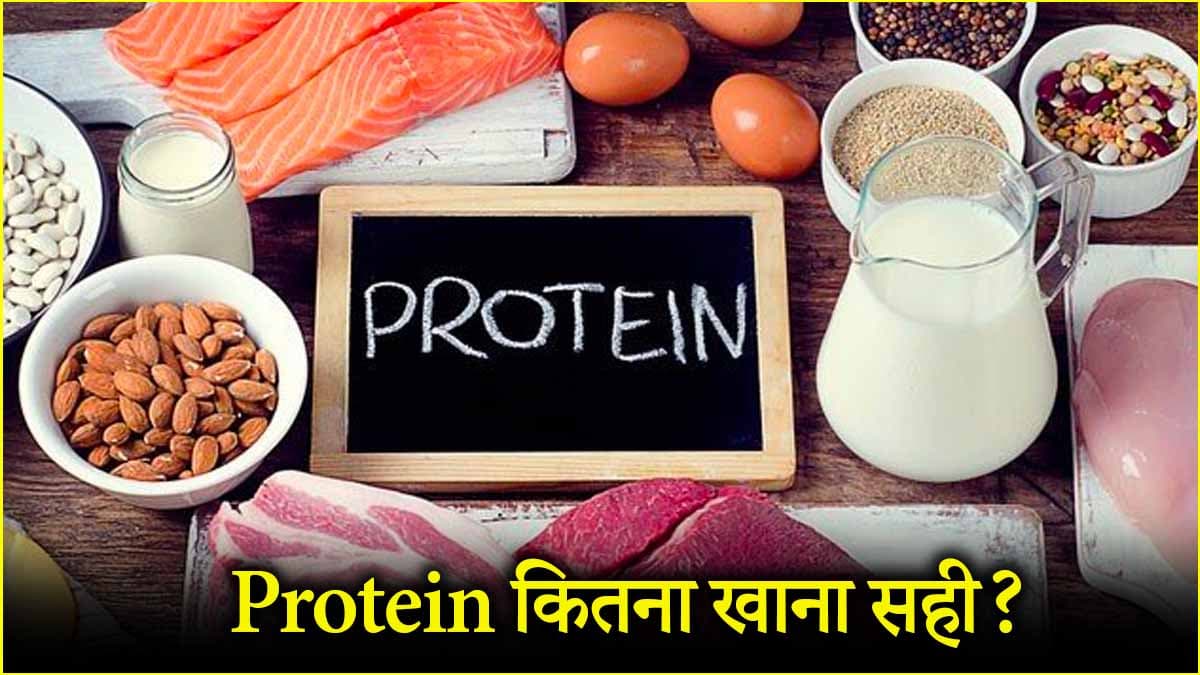 Protein Diet Tips: प्रोटीन वाले फूड खाने का क्या है सबसे अच्छा समय? जानें क्या कहते हैं एक्सपर्ट