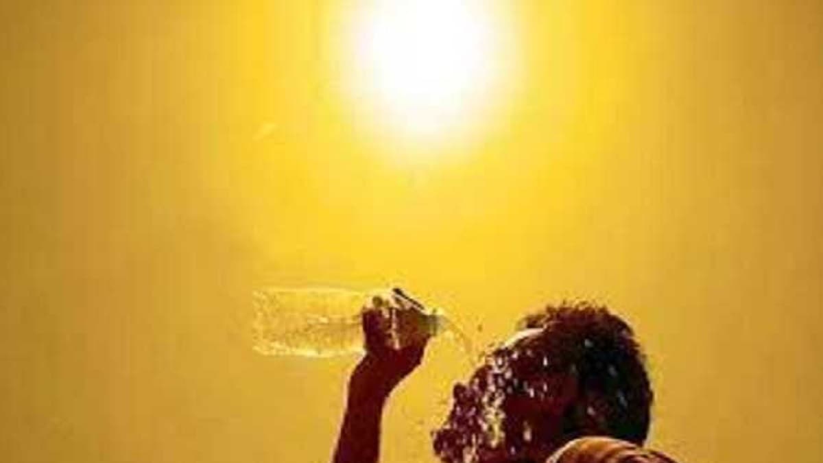 राजस्थान में भीषण गर्मी का कहर, इन जिलों में 44 डिग्री तक पहुंचेगा पारा, IMD ने जारी किया अलर्ट