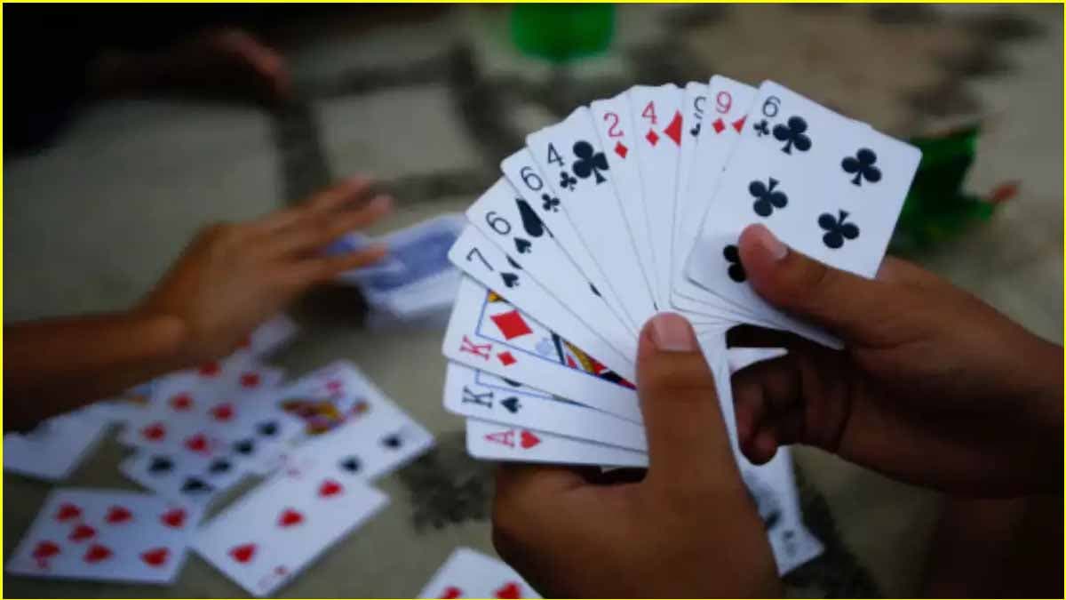 जूनागढ़ के रिसॉर्ट में चल रहा था जुए का अड्डा; 55 जुआरी गिरफ्तार, 28 लाख कैश बरामद
