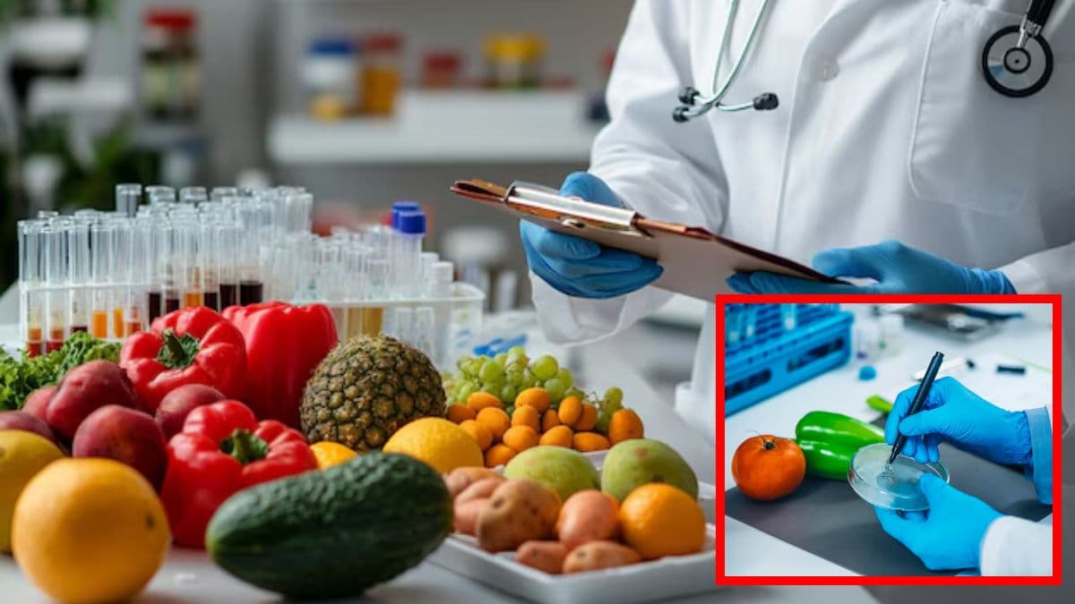 mp second fruit vegetable lab