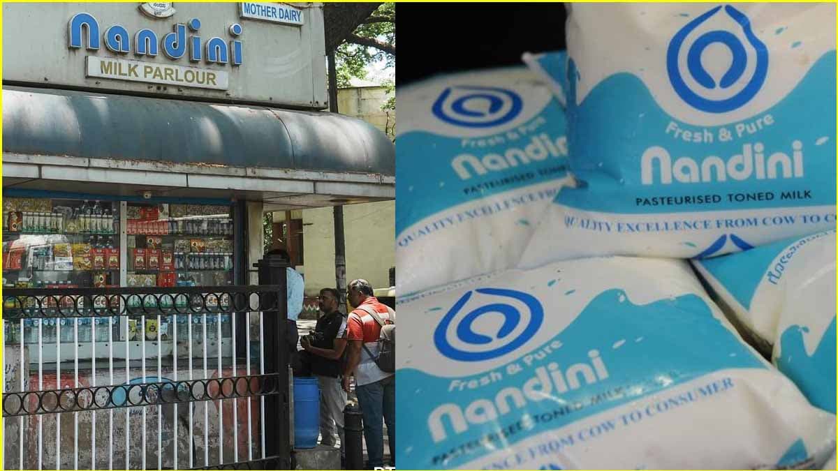nandini milk