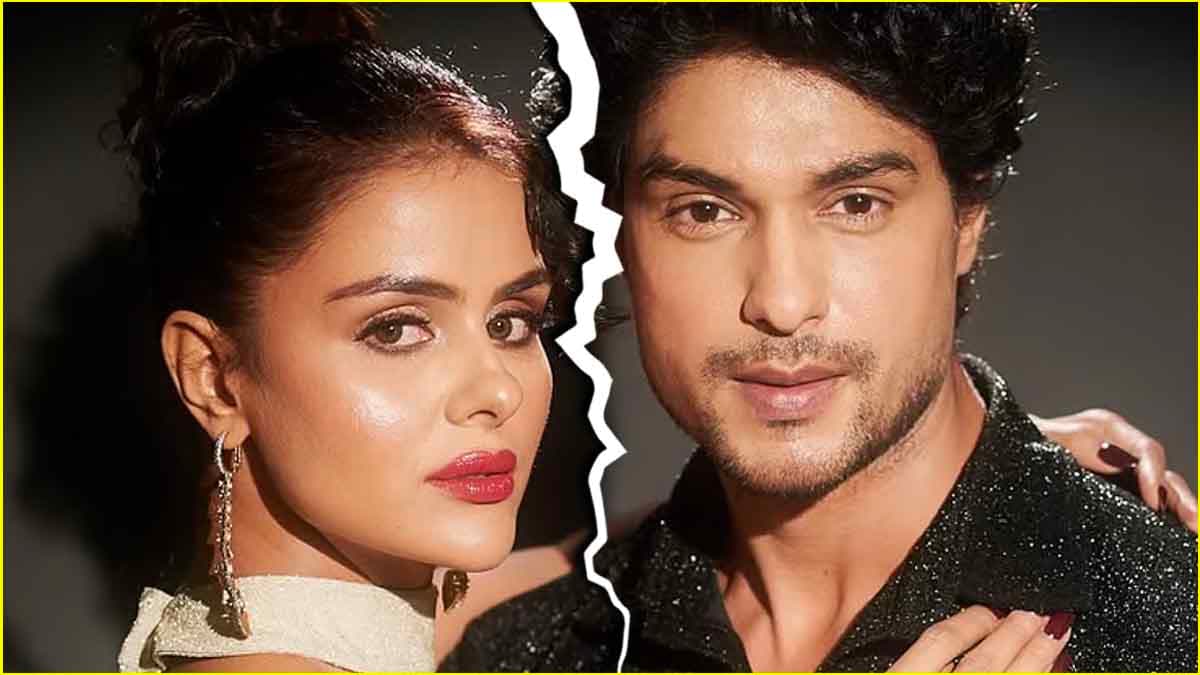 प्रियंका चाहर चौधरी और अंकित गुप्ता का क्यों हुआ ब्रेकअप, क्या शादी से है कोई कनेक्शन?