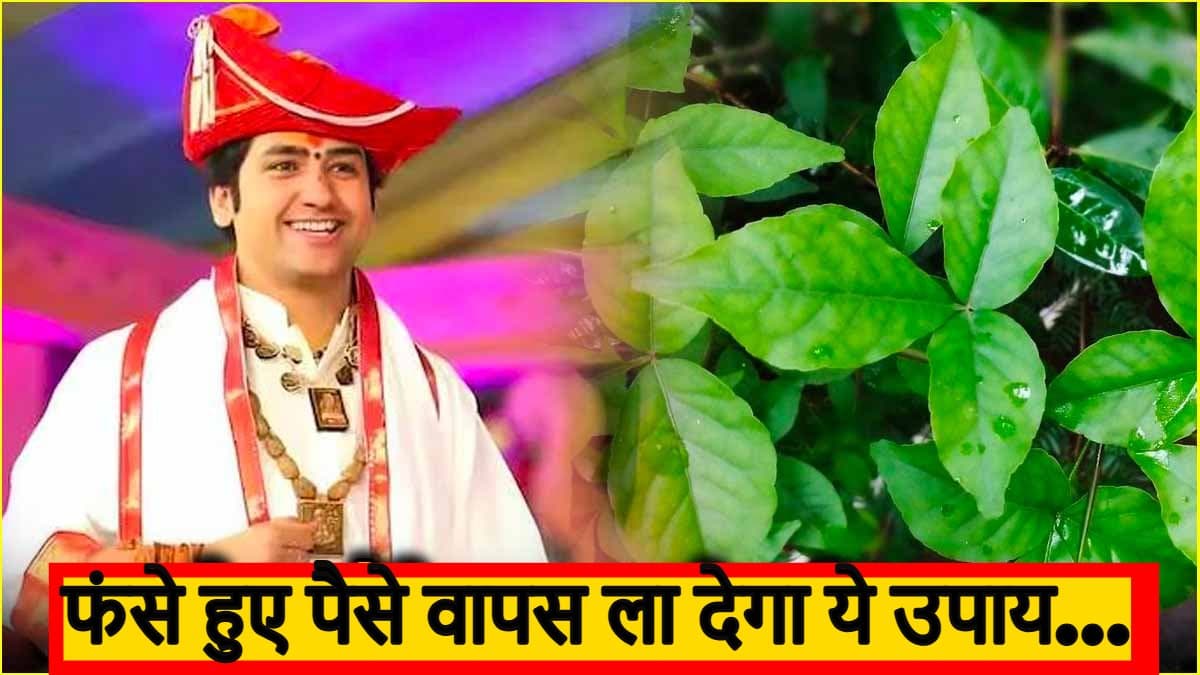 मेहनत के पैसे नहीं मिल रहे तो करें धीरेंद्र शास्त्री के ये उपाय, तुरंत मिलेगा धन वापस!