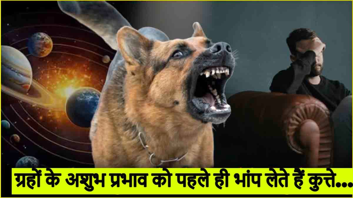 Astro Tips: व्यक्ति को देखकर क्यों भौंकने लगते हैं कुत्ते? जानें इसके पीछा का ज्योतिषीय कारण!