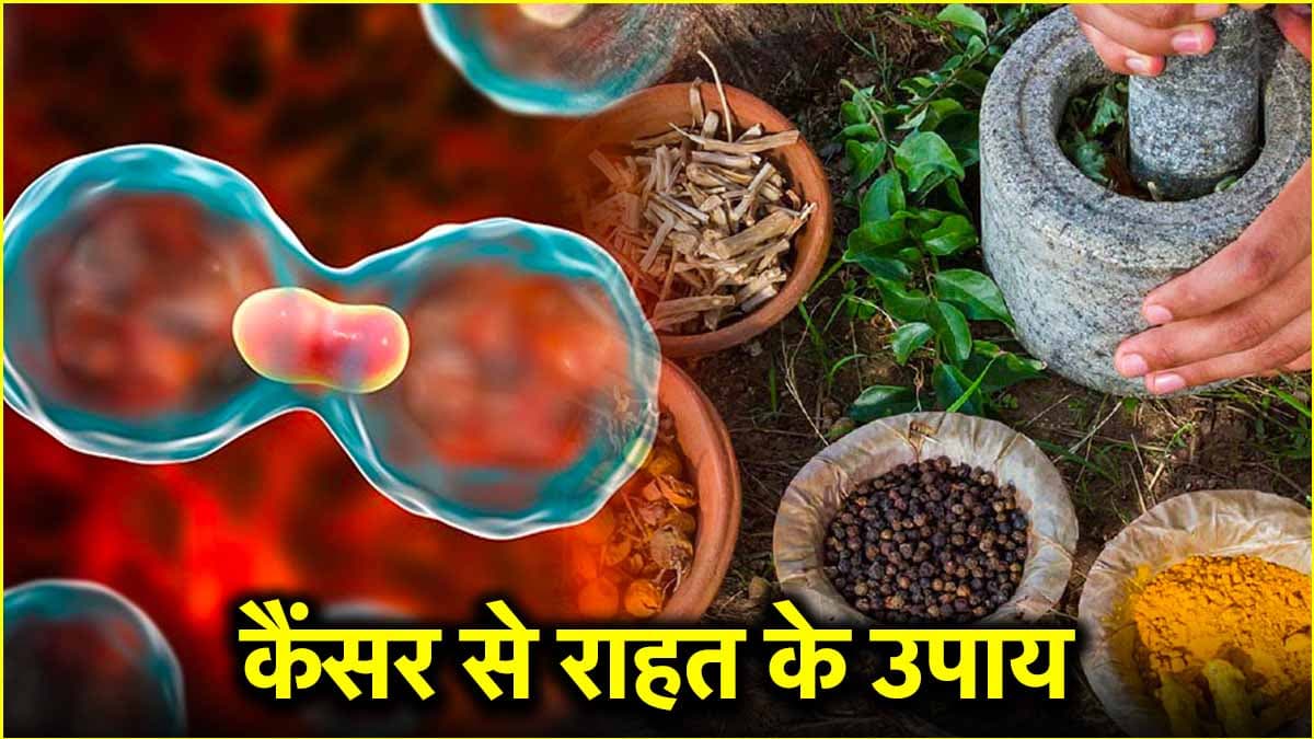 कैंसर का आयुर्वेदिक इलाज, आचार्य मनीष के 4 जबरदस्त उपायों से मिलेगी मदद