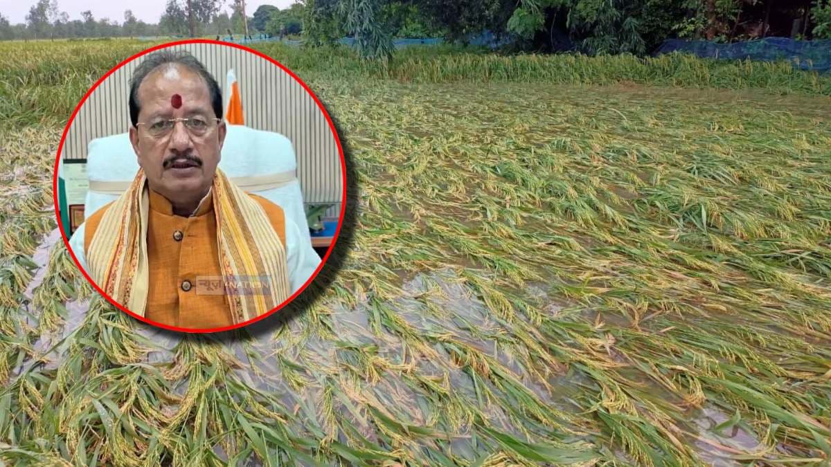 बिहार में बेमौसम बारिश से फसलों को भारी क्षति; कृषि मंत्री ने 24 घंटे में मांगी नुकसान की रिपोर्ट