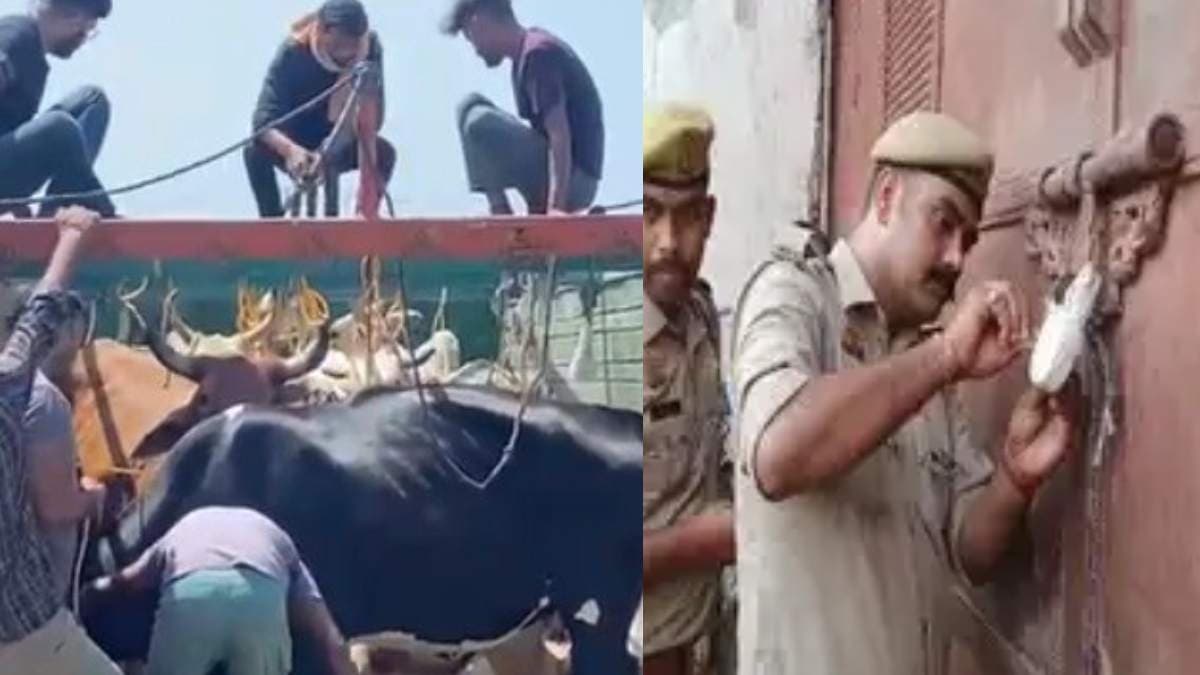 गौकशी के लिए बदनाम था ये क्षेत्र, अब पूरा जिला घोषित हुआ 'गौकशी मुक्त'; पढ़ें पुलिस ने कैसे पाया काबू