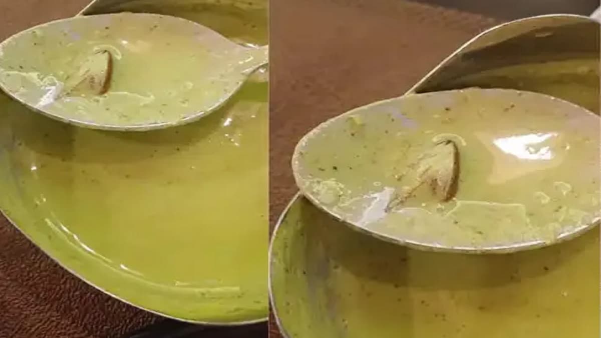 Cockroach chutney