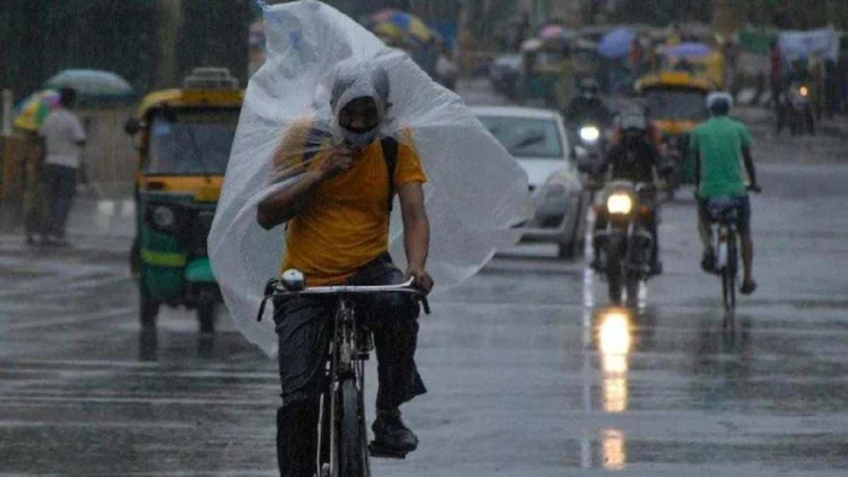Gujarat Weather today (9)