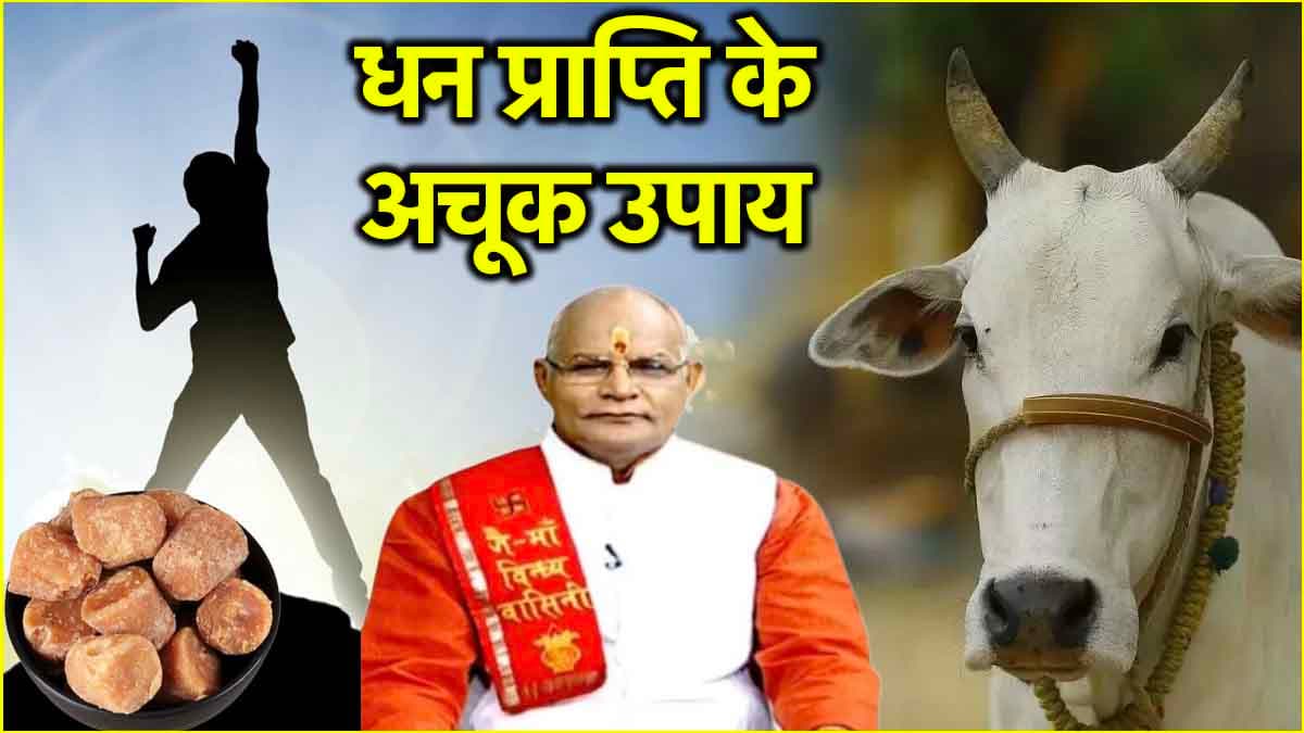 Video: रविवार का उपाय बनाएगा धनवान! पंडित सुरेश पांडेय से जानें