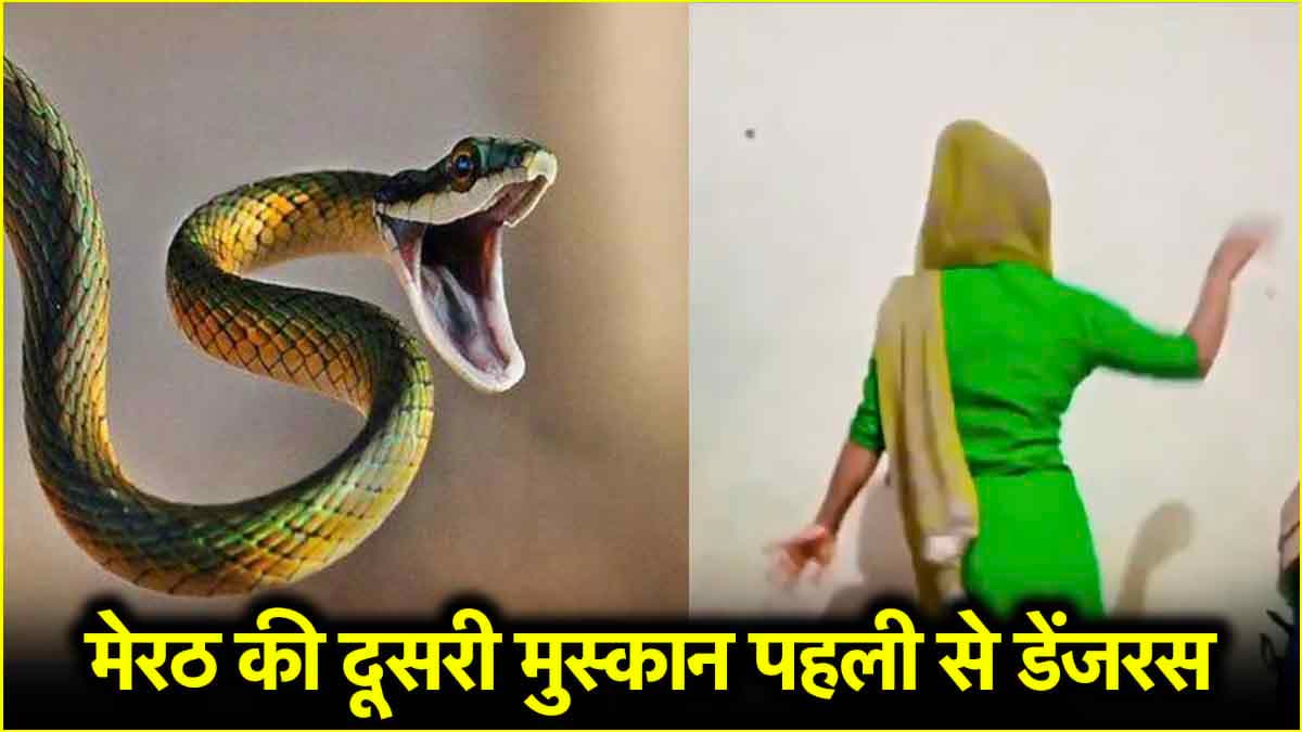 अपना गुनाह सांप पर डालने वाली पर एक और खुलासा, जानें प्रेमी से कैसे मिली?
