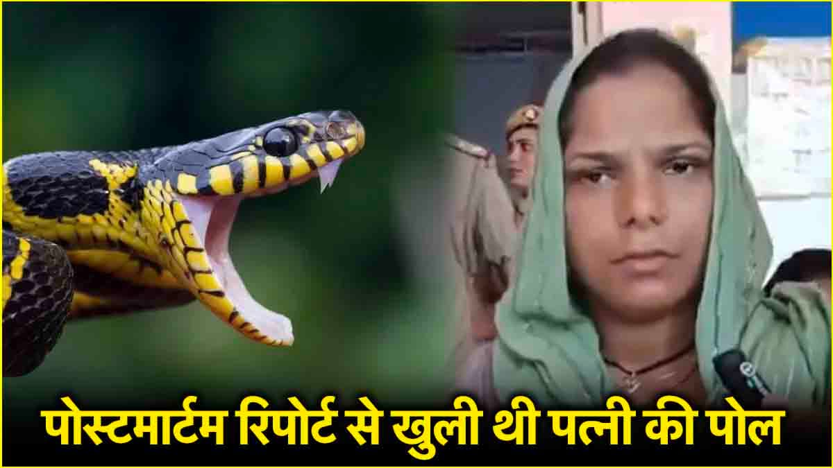 सपेरे के नए कबूलनामे से प्रेमिका का गुनाह रिवील, बेचारा सांप तो निकला बेगुनाह