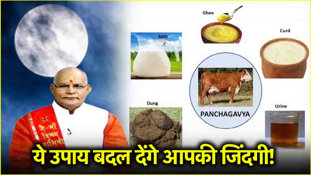Kaalchakra: पंचगव्य के ये उपाय हर मनोकामना को करेंगे पूरा! जानें पंडित सुरेश पांडेय से