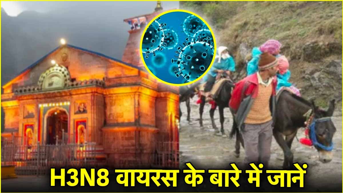 H3N8 इन्फ्लूएंजा वायरस कितना खतरनाक? केदारनाथ यात्रा से पहले मेडिकल जांच में पुष्टि