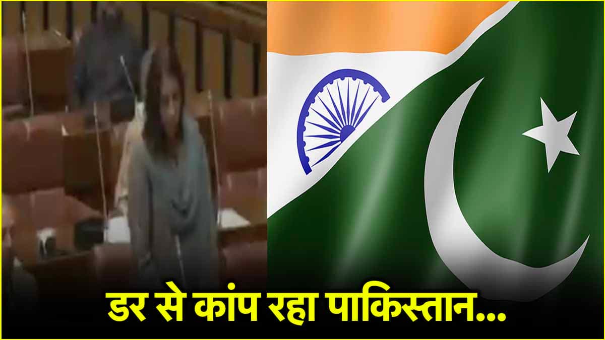 भारत के डर से बढ़ी पाकिस्तान की बौखलाहट, 'सीनेट' में 'पाक' सांसद ने पार की हदें
