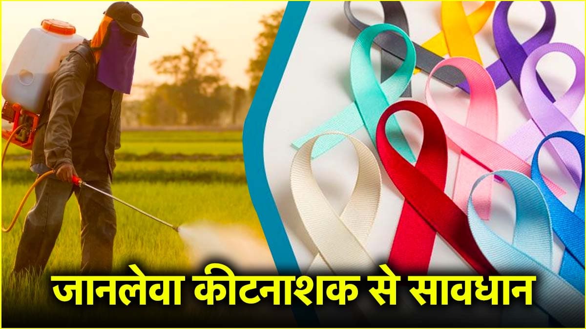 फसलों में कीटनाशक के किसानों पर साइड इफेक्ट, न्यूज 24 का बड़ा खुलासा