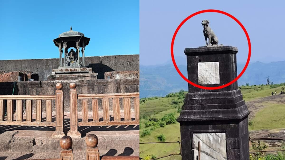 क्यों लगी है शिवाजी महाराज के किले में कुत्ते की मूर्ति? जिसको हटाने को लेकर चल रहा विवाद