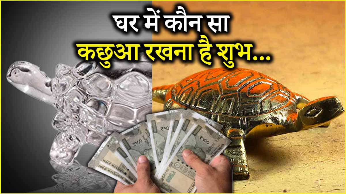 Vastu Tips: क्रिस्टल, ब्रास या लकड़ी, जानिए किस तरह का कछुआ घर में रखना है शुभ?
