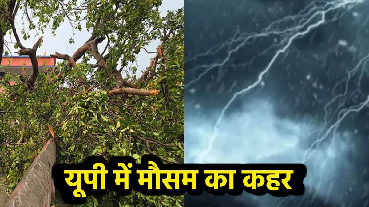 यूपी में मौसम का कहर! उखड़े पेड़ और खंबे, आंधी बारिश से 11 लोगों की मौत
