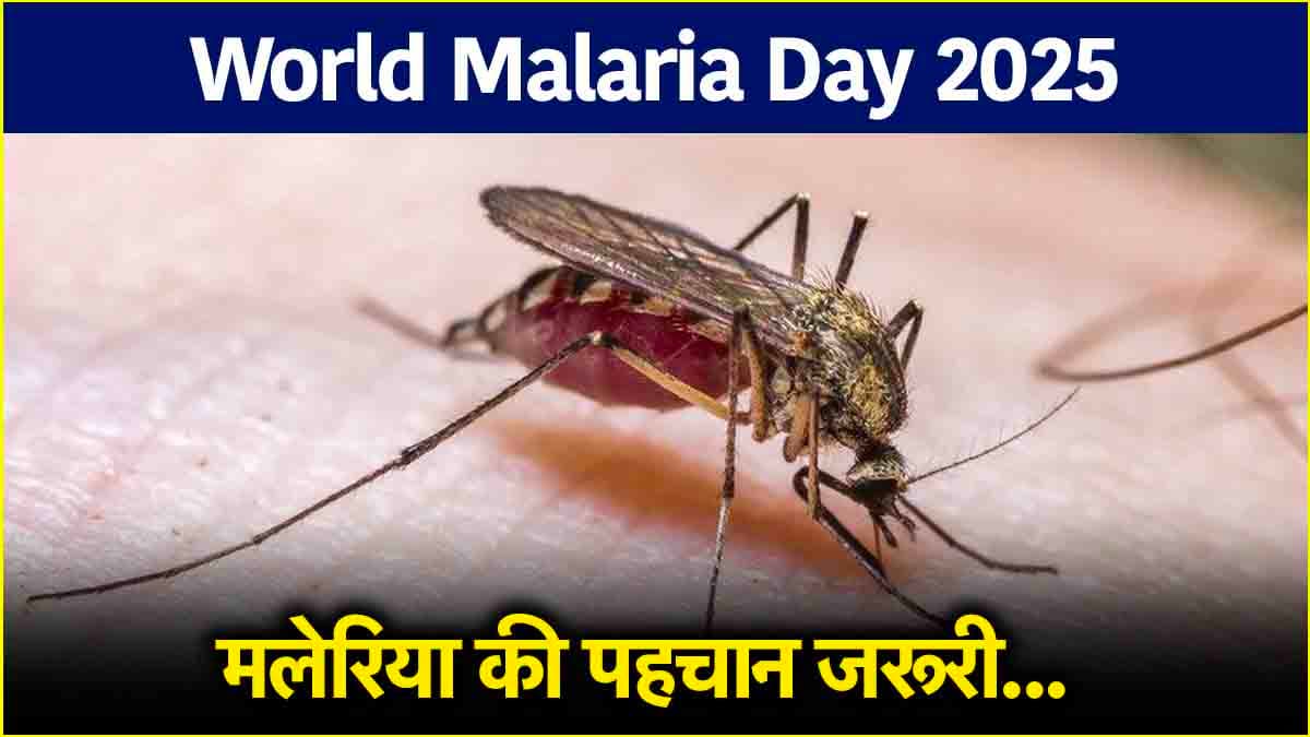 World Malaria Day 2025:  बुखार होने पर दिखें ये 5 संकेत तो मलेरिया का खतरा, 5 तरह की बीमारी, इलाज जरूरी