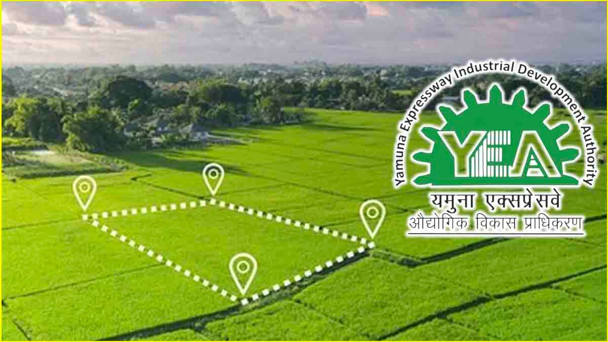 पैसे नहीं हैं... फिर भी मिलेगा प्लॉट! यीडा की योजना में मिल रहा इन बैंकों से लोन
