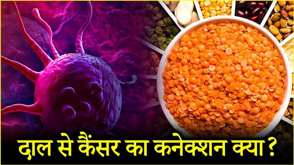 मूंग दाल खाना भी हो सकता है कैंसर का एक कारण! जानें सच्चाई