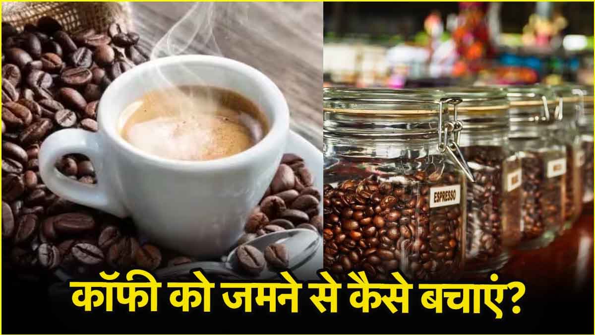 क्या आपकी भी कॉफी हो जाती है सख्त? इन 3 स्मार्ट तरीकों से करें स्टोर
