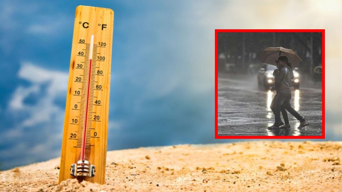 gujarat weather news