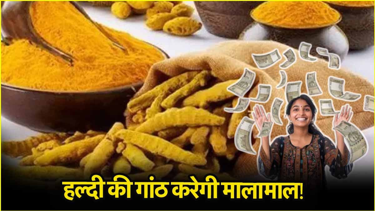 हल्दी के ये 5 उपाय दिलाते हैं बंपर पैसा और अकूत संपत्ति!