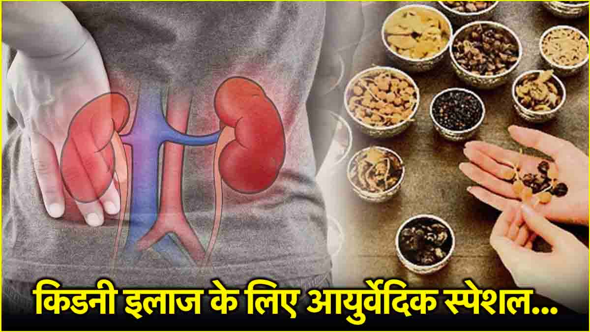 किडनी फेल हो या इंफेक्शन... इस आयुर्वेदिक उपचार से मिलेगी राहत, डॉक्टर से जानें