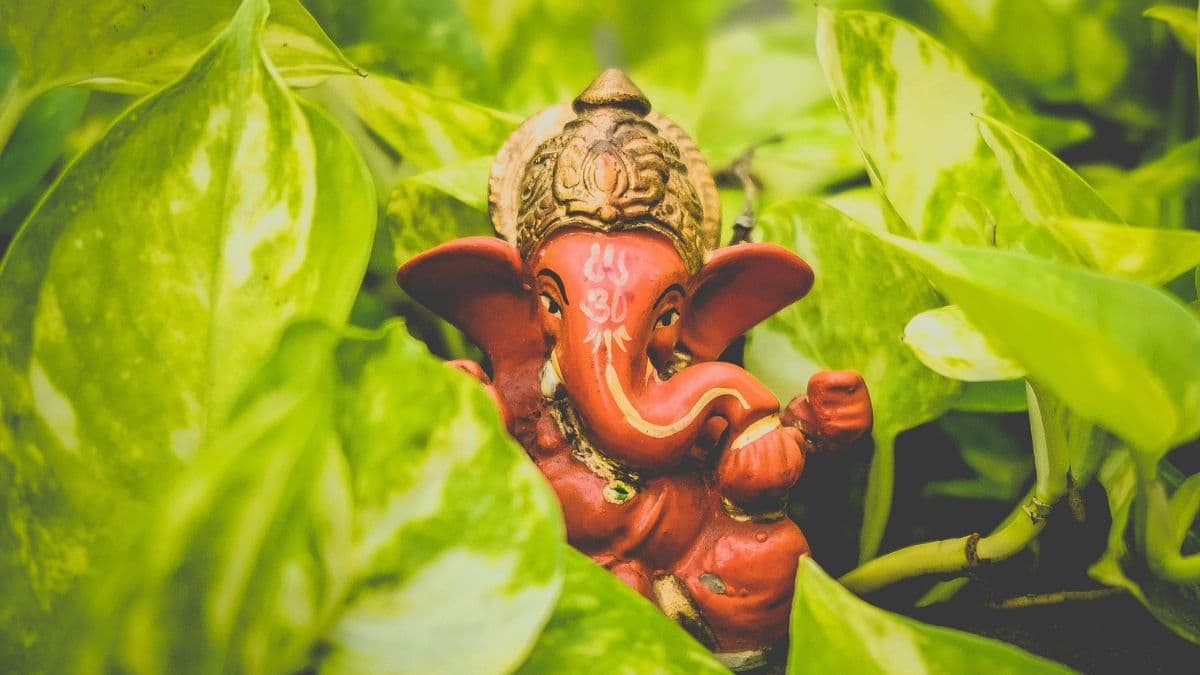 बुधवार के दिन करने चाहिए ये 5 काम, बन जाएंगे धनवान!