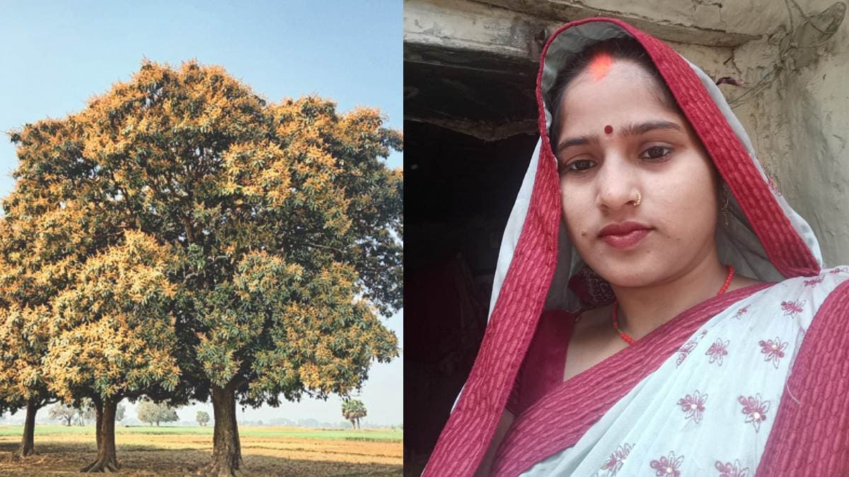 जौनपुर में आंधी बनी काल, आम के पेड़ की चपेट में आकर महिला की मौत